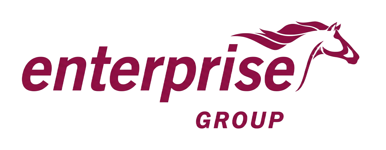 Enterprise Group logo